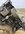 D60DE328-F5B5-4EED-A3F8-1A7ACADE3BDC.jpeg