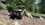 IMG_4901.jpeg