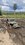 IMG_4920.jpeg