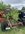 2DC4F3EC-32A1-4B9F-A4D5-CD57C6D03B85.jpeg