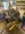 2C7B3A3C-19BC-4C60-A4F1-DC52CA6086DF.jpeg