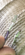 4DD812DD-6095-4FA5-8EAA-CBC5A76C461F.png