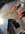 547CF5FC-7EFA-4BAB-8445-D94368061019.jpeg