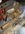 BD0176B0-A895-46DF-A728-E12DF33E42F1.jpeg