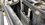 0ED943E2-65B8-42EE-BC21-79EB294C3A9B.jpeg