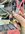 6012FD1C-0AD5-4A64-AB70-8C3D991BEBEF.jpeg
