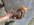 20220616_205551.jpg