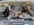 1655486838453.png