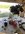 CE7E40A2-F77E-4C87-A729-D088160BCFE7.jpeg