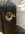 E2C0E2FA-589A-4AF4-B0AC-E776E8F9F8A8.jpeg
