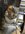 6CA93EEB-5C53-4DBA-ADDC-8B6C595D91F9.jpeg