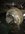 received_10208208321884196-225x300.jpeg