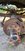 received_745294659665821.jpeg