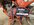 8A89DB91-4110-4A9A-9E6E-8FC887B83A87.jpeg