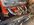 8863D4A2-DB81-4713-A19F-FDFCB20E23F1.jpeg