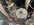 2EB8911C-7EB8-4B05-A0BD-40C144BD8726.jpeg