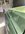 1036A7BD-440E-4F8F-830C-D42ED8FC4CA8.jpeg