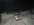 07406D0F-3918-4E0C-8383-A948CBFB06A6.jpeg