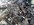 8BA0EDEC-7BB4-4956-AB1F-706D8A561DE8.jpeg
