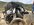 98F0759E-AD10-465D-951C-65B9F40C5D95.jpeg