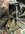 CE6CDEDA-6508-4097-BC9B-ECBE17E34385.jpeg