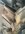 4002BFB2-ED4E-4B78-A406-F2A8BD1A4427.jpeg
