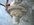 CEBB0DD2-52F7-486E-979D-D00323B8E7FF.jpeg