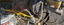 6-24-Antty.png