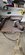 20220415_123510_resized.jpg