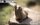 724046E0-8DF0-4D55-A634-D89558074B18.jpeg