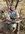 FB_IMG_1635260239043.jpg