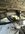 5598BD57-EE94-47BF-90B0-8C1525C91CA4.jpeg