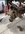 30F1CE20-2087-4764-94AF-6FE5225A6531.jpeg