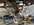 5CF23A7B-FC22-4B1D-8EEE-898F6DF93C22.jpeg