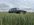 IMG_7308.JPEG