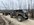 IMG_7368.JPEG