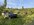 IMG_7399.JPEG