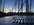 IMG_7420.JPEG