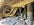 IMG_7554.JPEG