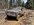 IMG_2288.JPEG