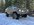 IMG_7583.JPEG