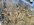 IMG_7598.JPEG