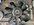 IMG_7672.JPEG