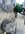 IMG_7604.JPEG