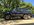 IMG_7686.JPEG