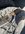 DAAC968A-4B28-44B7-995F-795F8F95AA3B.jpeg