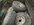 8274591A-BA53-458A-8F04-524E1AE2E42A.jpeg