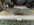3B39BBC6-D957-461B-8F0E-0350E1353711.jpeg
