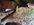 483347A7-C103-4775-8FD3-039456BB85E3.jpeg