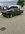 37E96E31-93F2-4931-BD31-746CE1862A84.jpeg